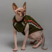 Кофта Style Pets ELVIN для котів, колір зелений, розмір XL-
