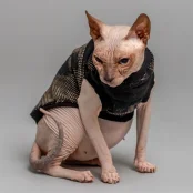 Майка Style Pets Emerald для котів, принт, розмір S