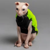 Майка Style Pets FaceSPS для котів, колір зелений, розмір XL+