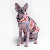 Кофта Style Pets BARB для котів, принт, розмір XL