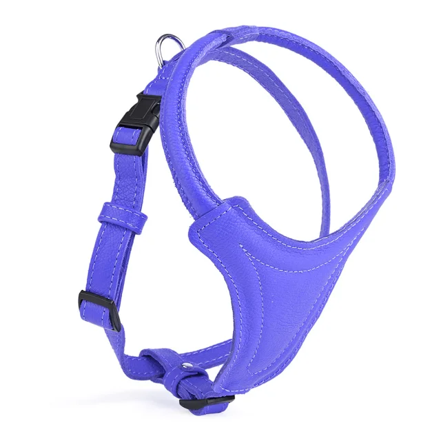 Шлея Kareline для собак маленьких и средних пород, из мягкой кожи, с грудиной и пластиковой пряжкой, 2 см/51 см/54-62 см