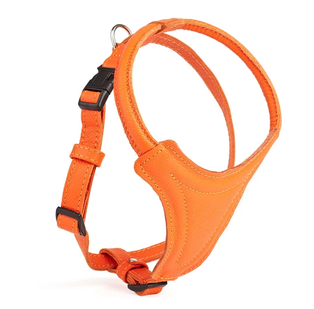 Шлея Kareline для собак маленьких и средних пород, из мягкой кожи, с грудиной и пластиковой пряжкой, 2 см/51 см/54-62 см