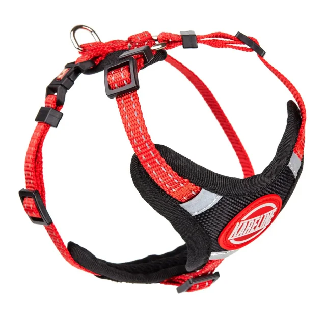 Шлея Kareline для собак, зі світловідбивною нтикою, пластикова пряжка, з логотипом, 1 см/22-30 см/28-38 см