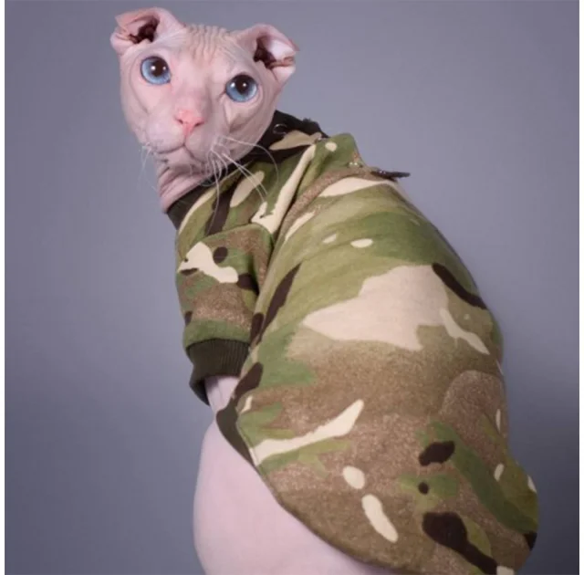 Кофта Style Pets Multikam для котів, принт, розмір M+
