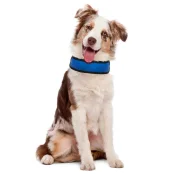 Охлаждающий ошейник Croci Harness Fresh для собак, нейлон, синий, 50×6 см