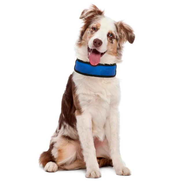 Охлаждающий ошейник Croci Harness Fresh для собак, нейлон, синий, 50×6 см