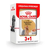 Влажный корм Royal Canin Yorkshire Terrier Adult для йоркширского терьера, 85 г, акция 3+1
