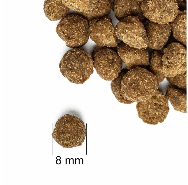 Сухой корм Practik Fresh Cat&Kiiten 4 Proteins для котят и кошек, 0.5 кг