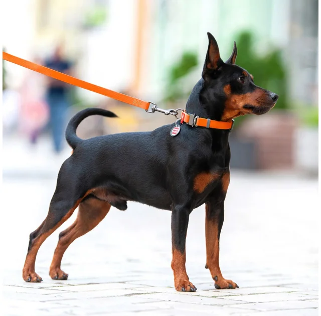 Поводок Waudog Waterproof для собак, водостойкий, размер M, 20 мм, 122 см, оранжевый