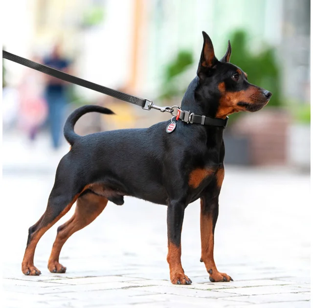 Поводок Waudog Waterproof для собак, водостойкий, размер M, 20 мм, 183 см, черный