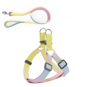 Комплект шлея з повідцем AnimAll для маленьких собак та всіх порід кішок, пантон 2, 1/25-30/180 см
