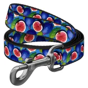 Повідець Waudog Nylon для собак, малюнок "Інжир", нейлоновий, S, ширина: 15 мм, довжина: 122 см