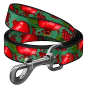 Повідець Waudog Nylon для собак, малюнок "Гранати", нейлоновий, M, ширина: 20 мм, довжина: 122 см