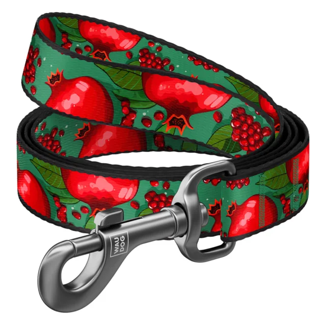 Поводок Waudog Nylon для собак, рисунок "Гранаты", нейлоновый, L-XXL, ширина: 25 мм, длина: 122 см