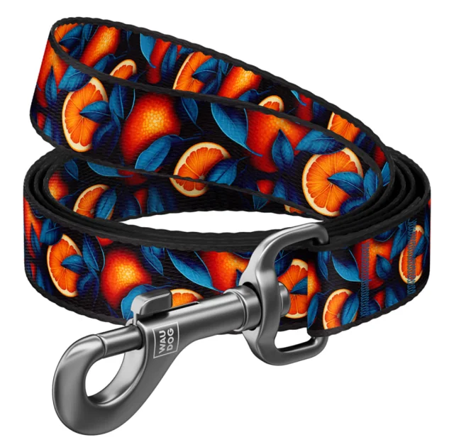Поводок Waudog Nylon для собак, рисунок "Апельсины", нейлоновый, L-XXL, ширина: 25 мм, длина: 122 см