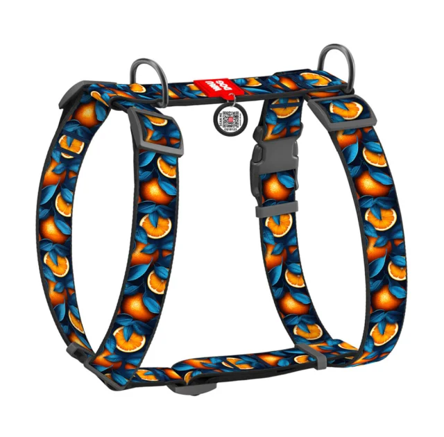 Шлея анатомічна H-подібна Waudog Nylon для собак з QR-паспортом, малюнок "Апельсини",  XL, Ш 35 мм, А 55-95 см, В 70-110 см