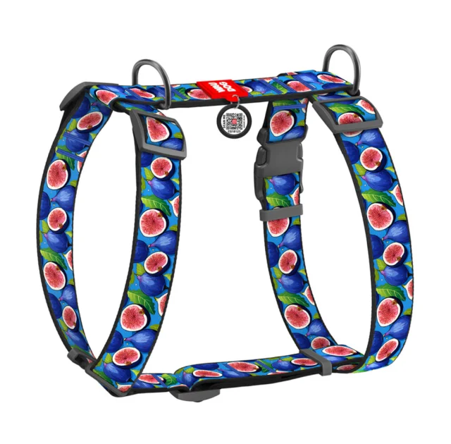 Шлея анатомическая H-образная Waudog Nylon для собак с QR-паспортом, рисунок "Инжир",  XL, Ш 35 мм, А 55-95 см, В 70-110 см
