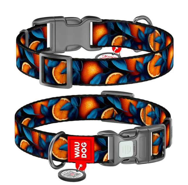 Нашийник Waudog Nylon з QR паспортом для собак нейлоновий, малюнок "Апельсини",  L, ширина 25 мм, довжина 33-49 см