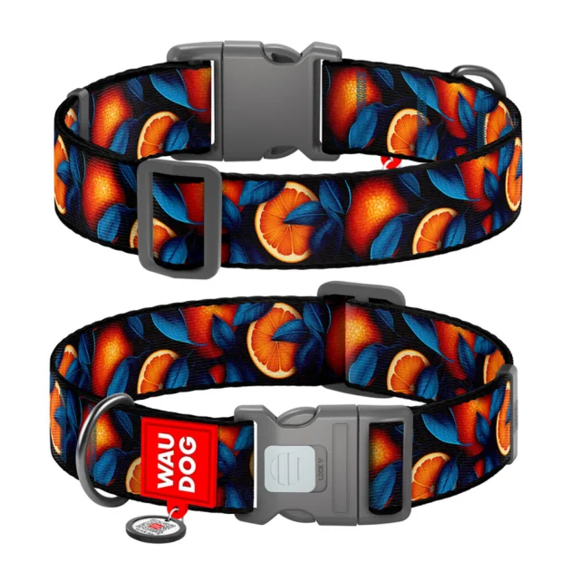 Нашийник Waudog Nylon з QR паспортом для собак, малюнок "Апельсини",  нейлоновий, XXL, ширина 35 мм, довжина 46-70 см