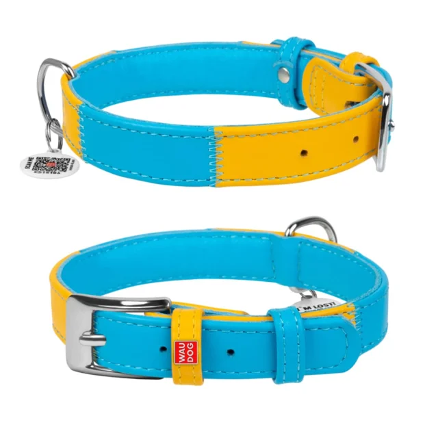 Нашийник Waudog Glamour для собак, з паспортом, малюнок "Colors of freedom", S, 15 мм/27-36 см