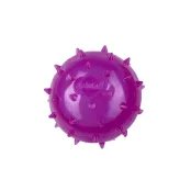 М'яч шипований'яч шипований, AnimAll Fun з пищалкою для собак, 75 мм, фіолетовий