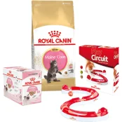 Набір сухий корм Royal Canin Maine Coon Kitten 2 кг + вологий корм 12 шт по 85 г + ігровий трек у подарунок