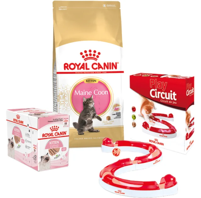 Набор сухого корма Royal Canin Maine Coon Kitten 2 кг + влажный корм 12 шт по 85 г + игровой трек в подарок