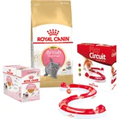 Набір сухий корм Royal Canin Kitten British Shorthair 2 кг + вологий корм 12 шт по 85 г + ігровий трек у подарунок