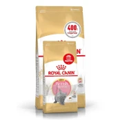 Сухий корм Royal Canin British Shorthair Kitten для британських кошенят, 2 кг + 400 г у подарунок