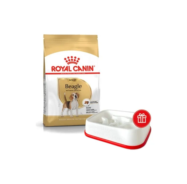 Промо набір Сухий корм Royal Canin Beagle Adult для собак породи бігль, 3 кг + інтерактивна годівниця у подарунок