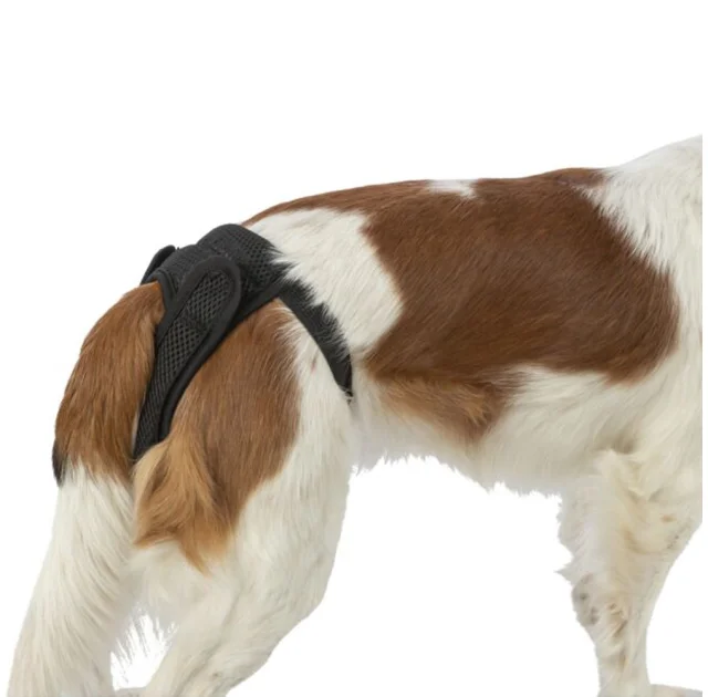 Захисні труси Trixie Protective Pants Comfort для собак, текстильна сітка, розмір S, обхват талії 30-37 см, чорні
