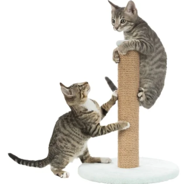 Кігтеточка Trixie Junior Scratching Post для кошенят, 40×38×50 см, м'ятна