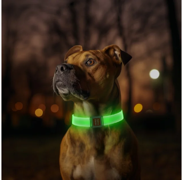 Нашийник з підсвічуванням Waudog LED для собак, магнітна застібка, 25 мм/35 см