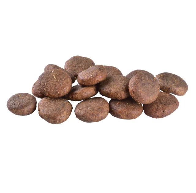 Беззерновий сухий корм Brit Care Dog Grain-free Senior & Light для старіючих собак, з лососем, 1 кг