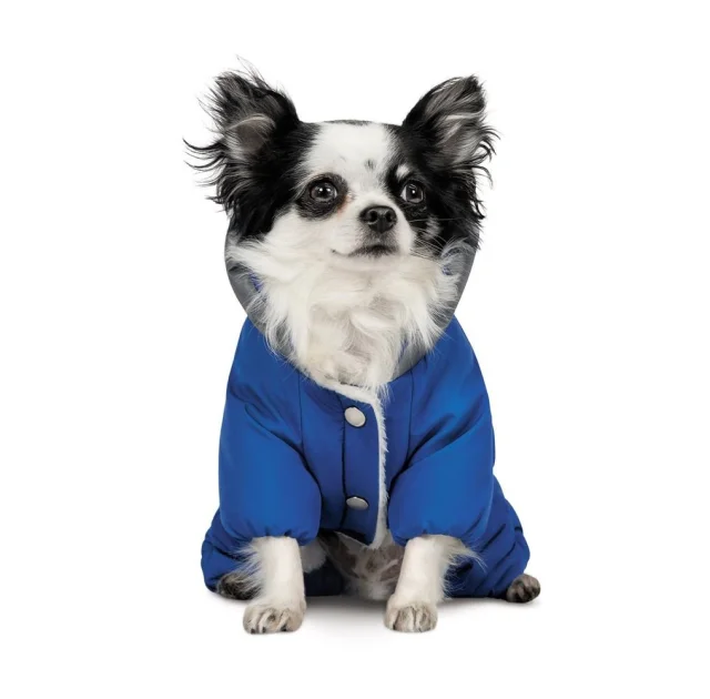 Костюм Pet Fashion Zhan для собак, размер XS2, голубой