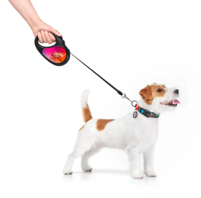 Поводок-рулетка Waudog R-leash для собак, рисунок "Конотопские магические войска", S, до 15 кг, 5 м, черный