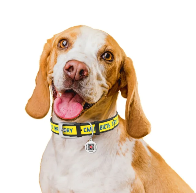 Ошейник кожанный Waudog Design з QR паспортом для собак, рисунок "Смелость" XS,12 мм/20-28 см, черный