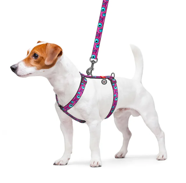 Шлея анатомічна H-подібна Waudog Nylon для собак з QR-паспортом, малюнок "Око монстра",  S, Ш 15 мм, A 30-40, B 30-50