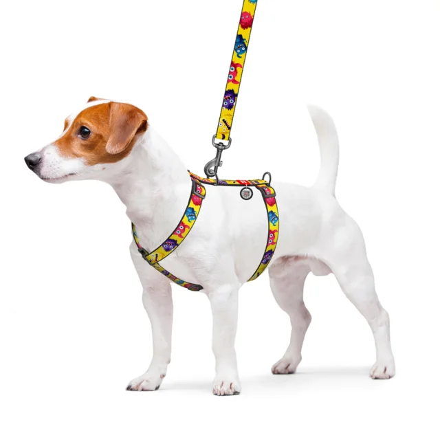 Шлея анатомічна H-подібна Waudog Nylon для собак з QR-паспортом, малюнок "Мохнаті монстри",  S, Ш 15 мм, A 30-40, B 30-50