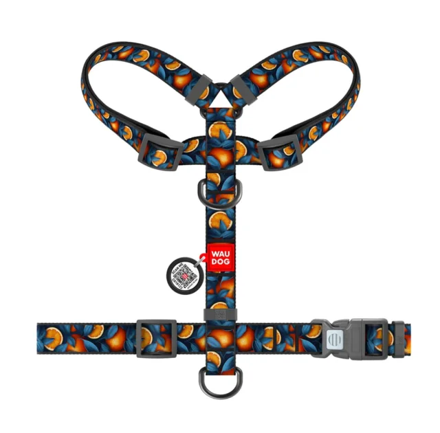Шлея анатомическая H-образная Waudog Nylon для собак с QR-паспортом, рисунок "Апельсины",  S, Ш 15 мм, A 30-40, B 30-50