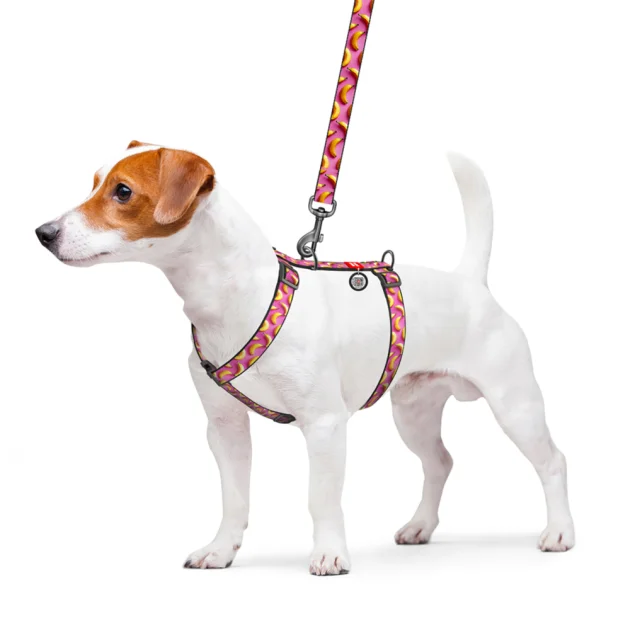 Шлея анатомическая H-образная Waudog Nylon для собак с QR-паспортом, рисунок "Бананы на розовом",  S, Ш 15 мм, A 30-40, B 30-50