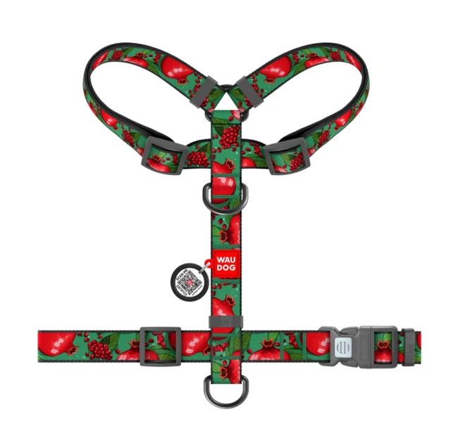 Шлея анатомічна H-подібна Waudog Nylon для собак з QR-паспортом, малюнок "Гранати",  М, Ш 20 мм, А 40-70, В 50-80