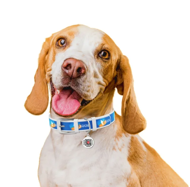 Нашийник шкіряний Waudog Design з QR паспортом для собак, малюнок "Прапор", XXS, 12 мм/18-24 см, білий