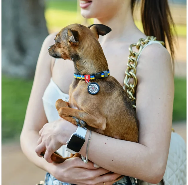 Нашийник нейлоновий Waudog Nylon для собак, з QR паспортом, малюнок "Colors of freedom",  XS, 10 мм, 20-30 см