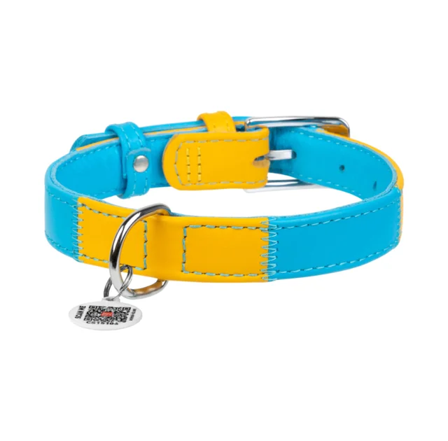 Нашийник Waudog Glamour для собак, з паспортом, малюнок "Colors of freedom", S, 15 мм/27-36 см