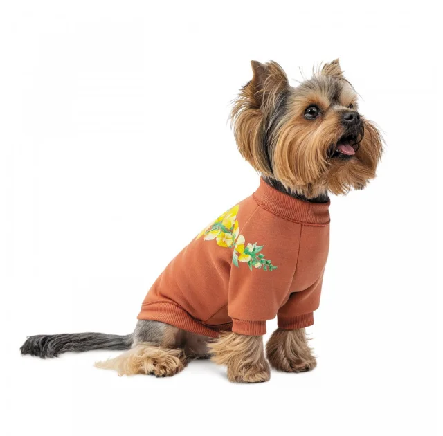 Толстовка Pet Fashion Miley, для собак, размер XS