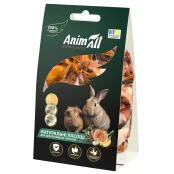 Ласощі AnimAll морква та гарбуз для гризунів, сушені, 50 г
