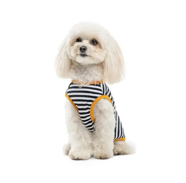 Борцовка Pet Fashion Kale для собак, трикотаж, размер XS2, полосатая