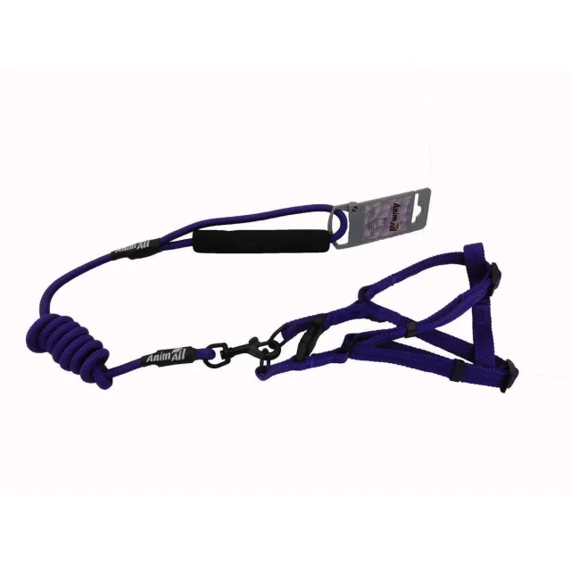 Комплект шлея с поводком AnimAll для животных, S, 0.8×120 см/37-46 см, синий