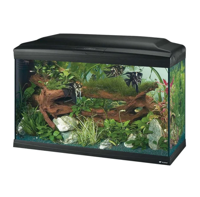 Стеклянный аквариум Ferplast Cayman 80 Professional Black T5 с лампами, внутренним фильтром и таймером, 120 л
